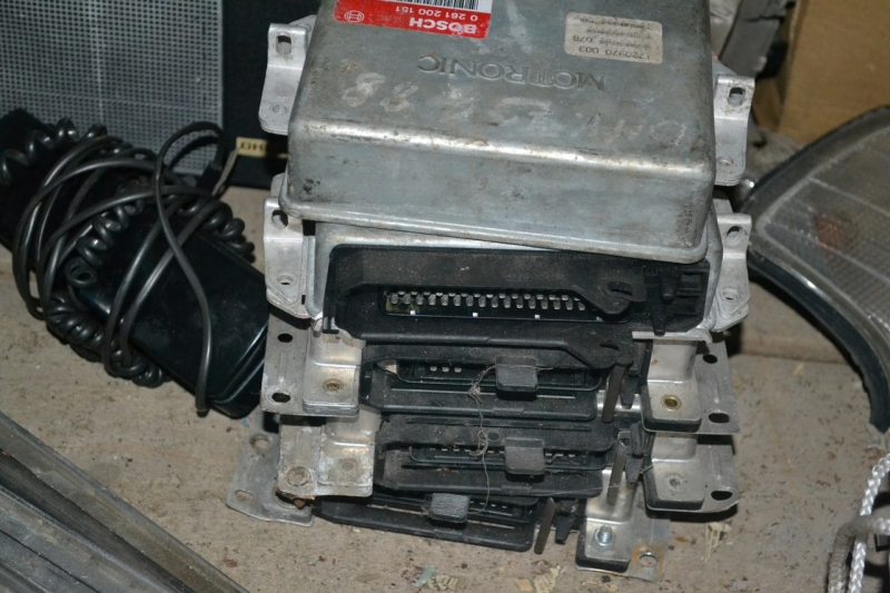 Мозги разные