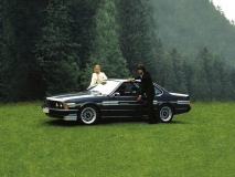 BMW E24