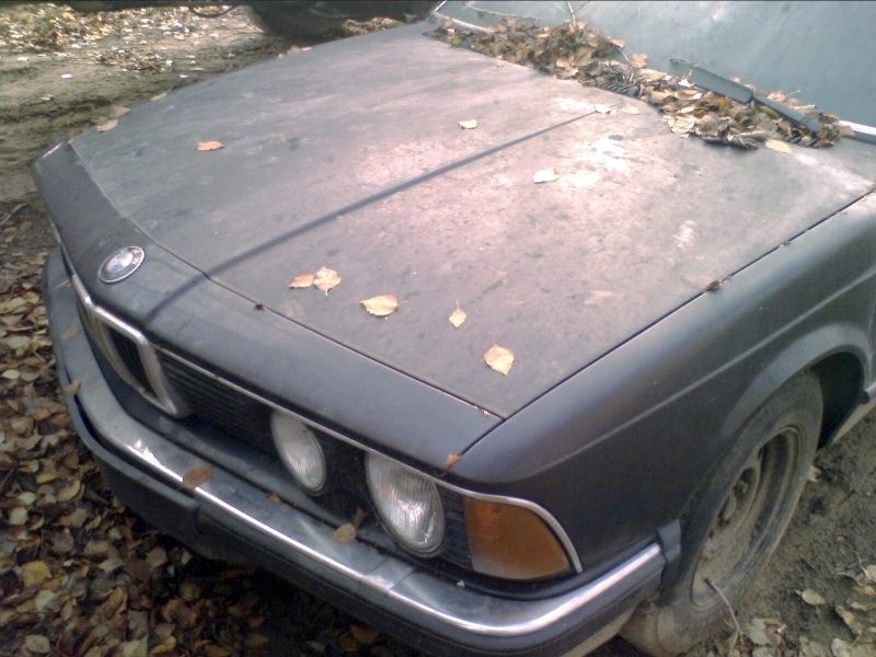 Не дам пропасть!