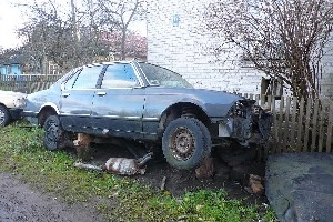 Оставили умирать...:(