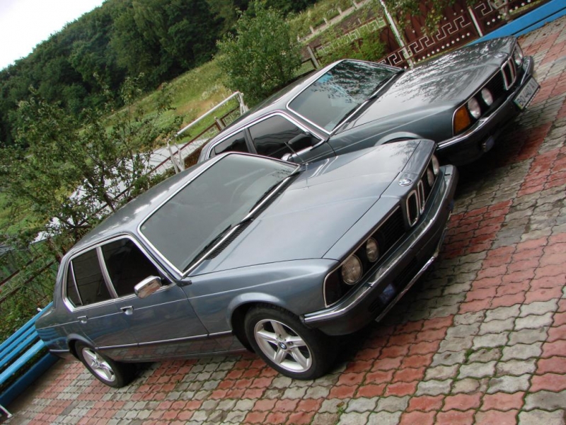 Моя красавица и корм для нее!