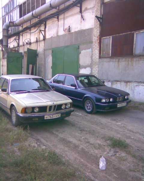 Две верных подруги...