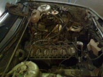 только привезли 2