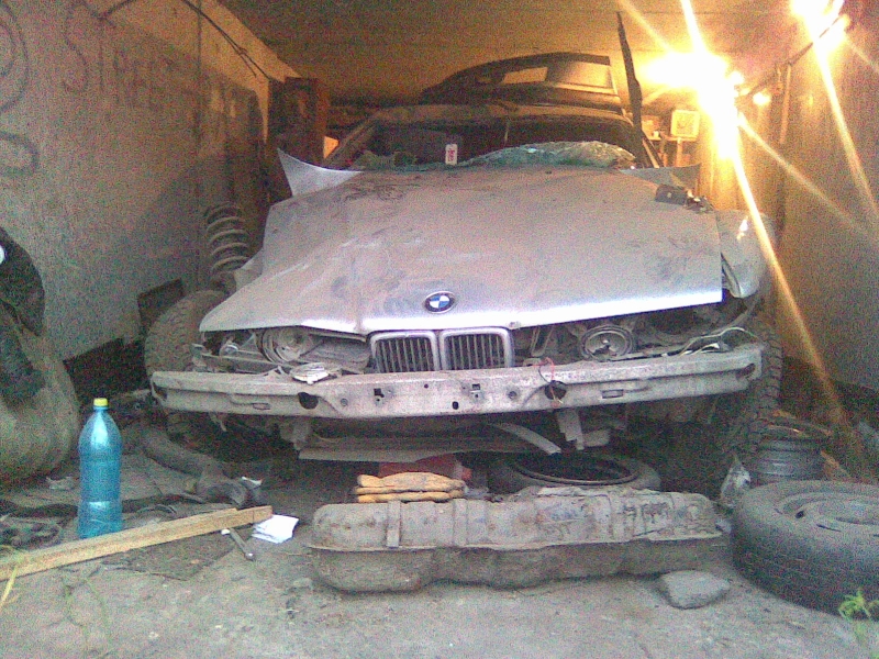 моя старая ласточка