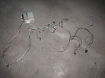 Коса 3.2 мотрон