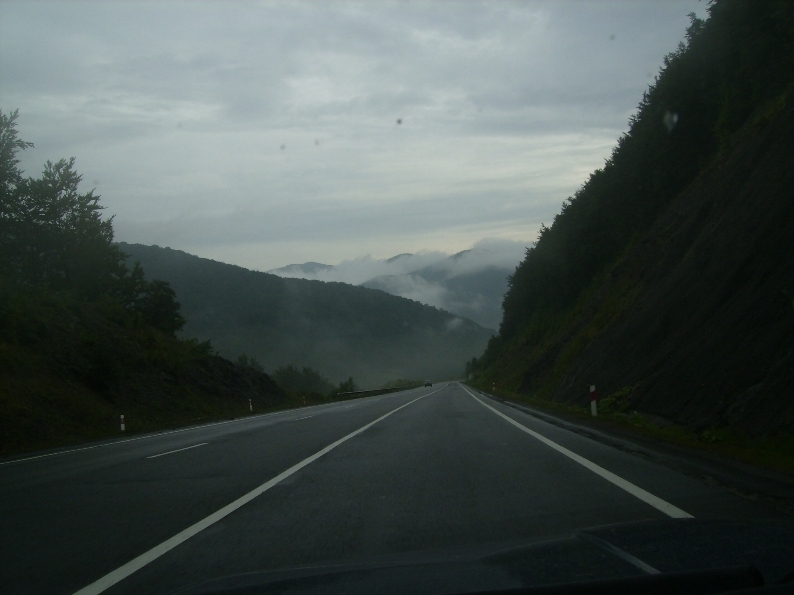 трансельвания2