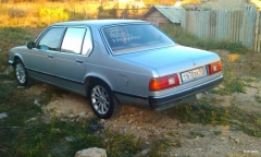 Моя акулка 1